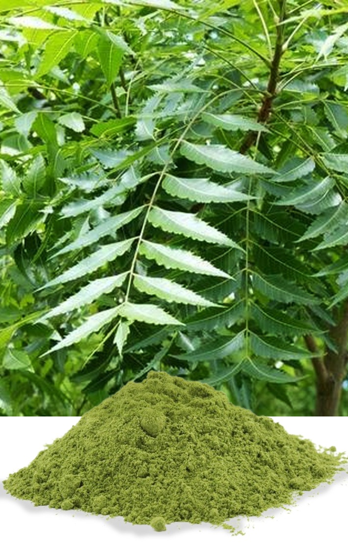 Neem
